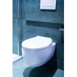 wc_deska