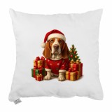 vanocni_polstar_buddy_40x40_cm_emi