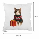 vanocni_polstar_meow_40x40_cm_emi_3