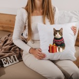 vanocni_polstar_meow_40x40_cm_emi_2
