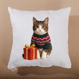 vanocni_polstar_meow_40x40_cm_emi_4