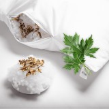 bylinkovy_polstar_pelynek_mugwort_emi