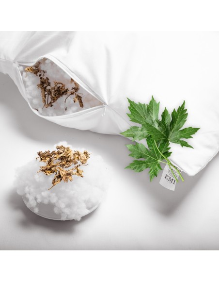 bylinkovy_polstar_pelynek_mugwort_emi