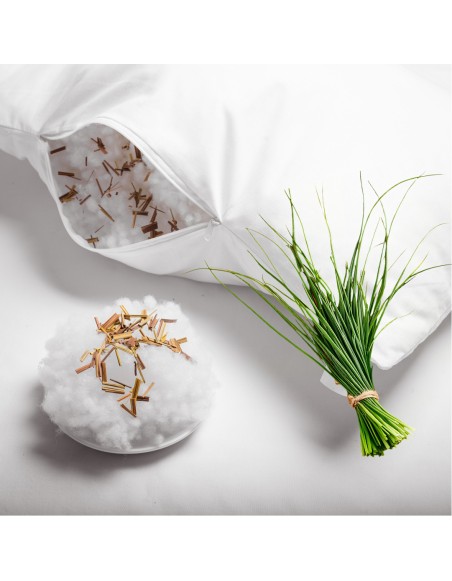 vonavy_polstar_lemongrass_emi