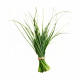 polstar_pro_klidny_spanek_lemongrass_emi