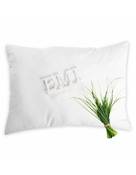 bylinkovy_polstar_lemongrass_emi