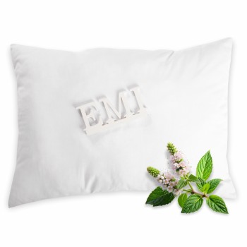 bylinkovy_polstar_lemon_balm_emi