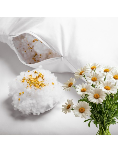 vonavy_polstar_hermanek_emi