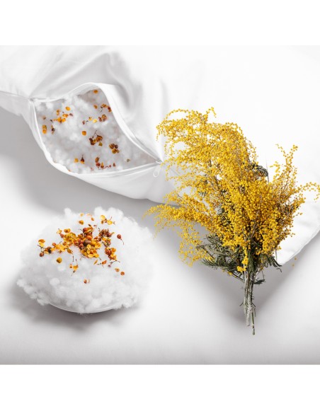 vonavy_polstar_albizia_emi