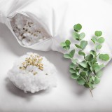 vonavy_polstar_eucalyptus_emi