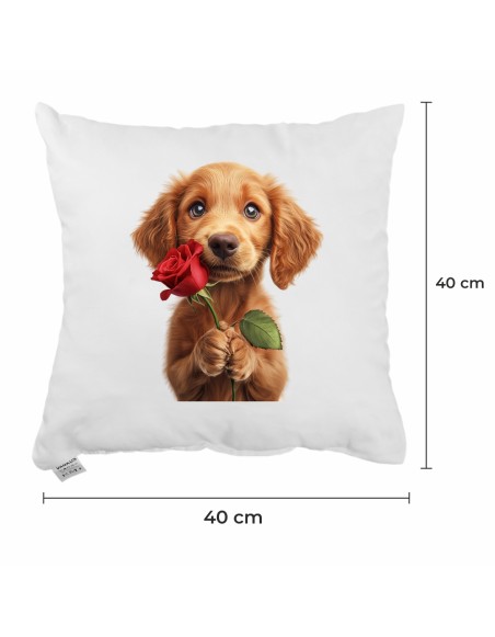 polstar_s_pejskem_emi