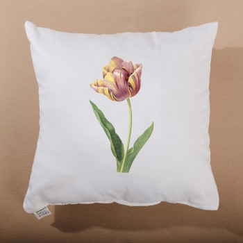 polstar_s_tulipanem_emi