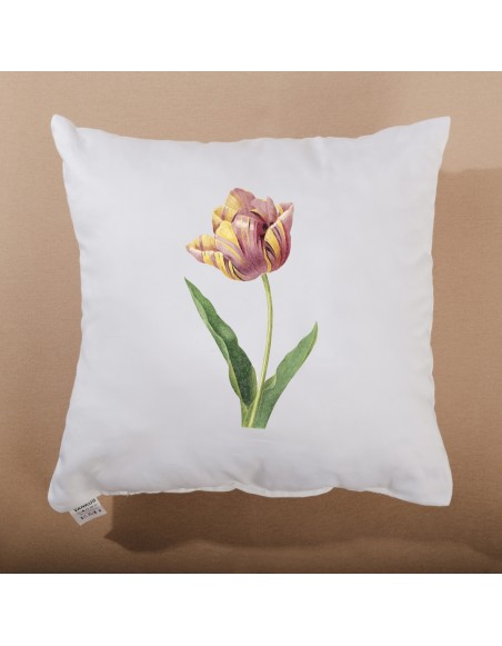 polstar_s_tulipanem_emi