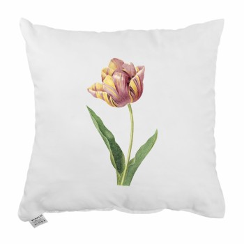 dekoracni_polstar_velvet_emi