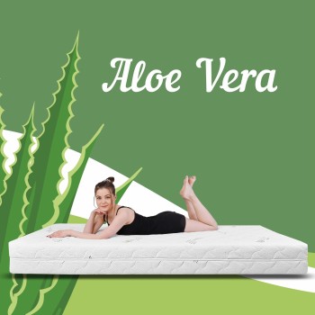 aloe_vera_emi