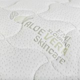 aloe_vera_emi