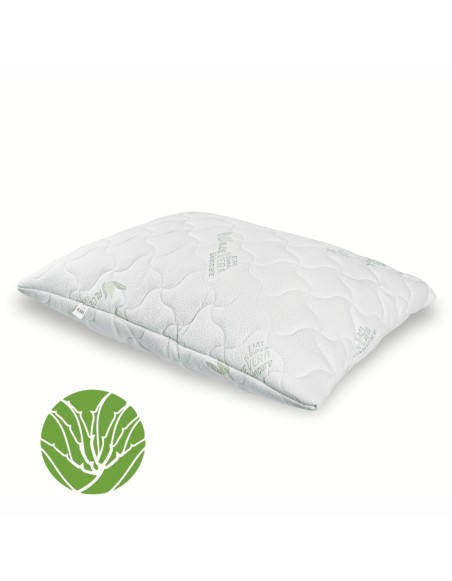 aloe_vera_emi