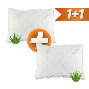 aloe_vera_polstare_emi
