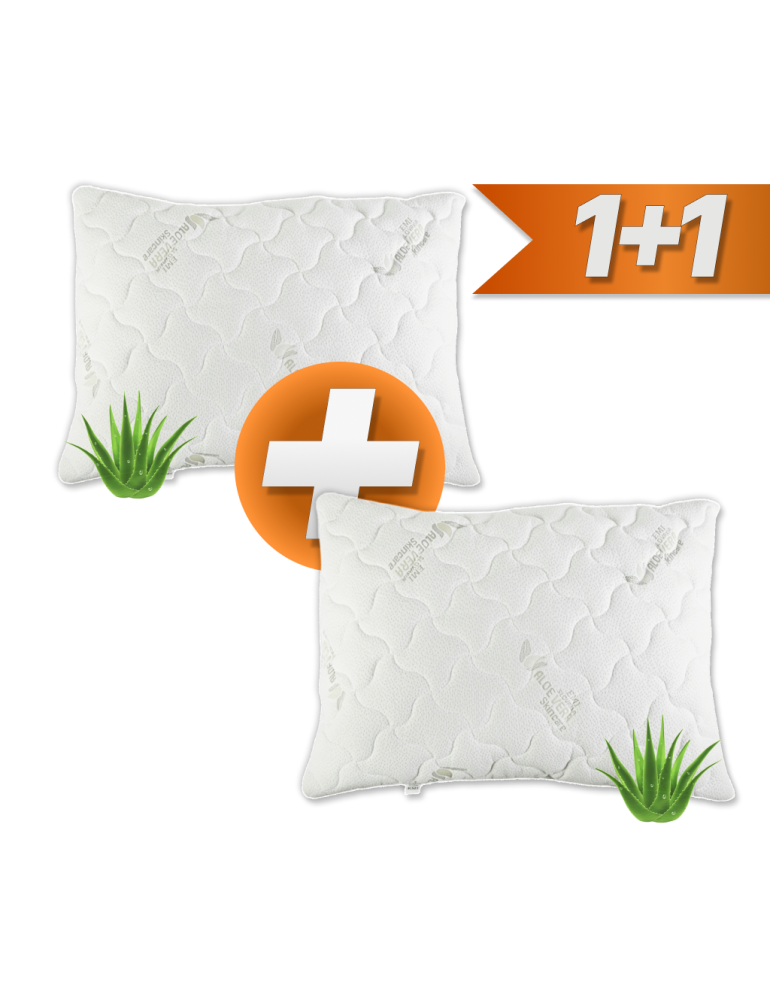 aloe_vera_polstare_emi