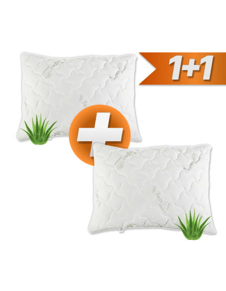 aloe_vera_polstare_emi