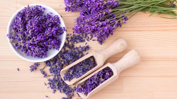 Polstar_plneny_levandulou