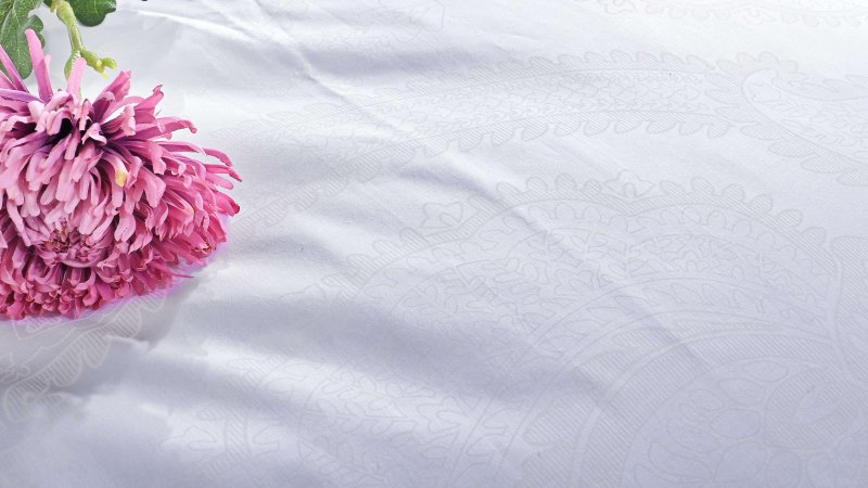 povleceni_bavlnene_Benard_bile_EMI