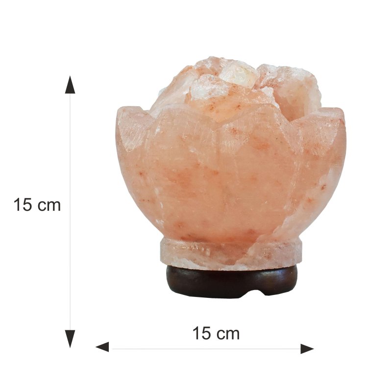 Solna_lampa_ruze_2,8_kg