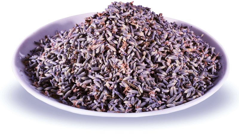 Levandula_s_prijemnou_vuni