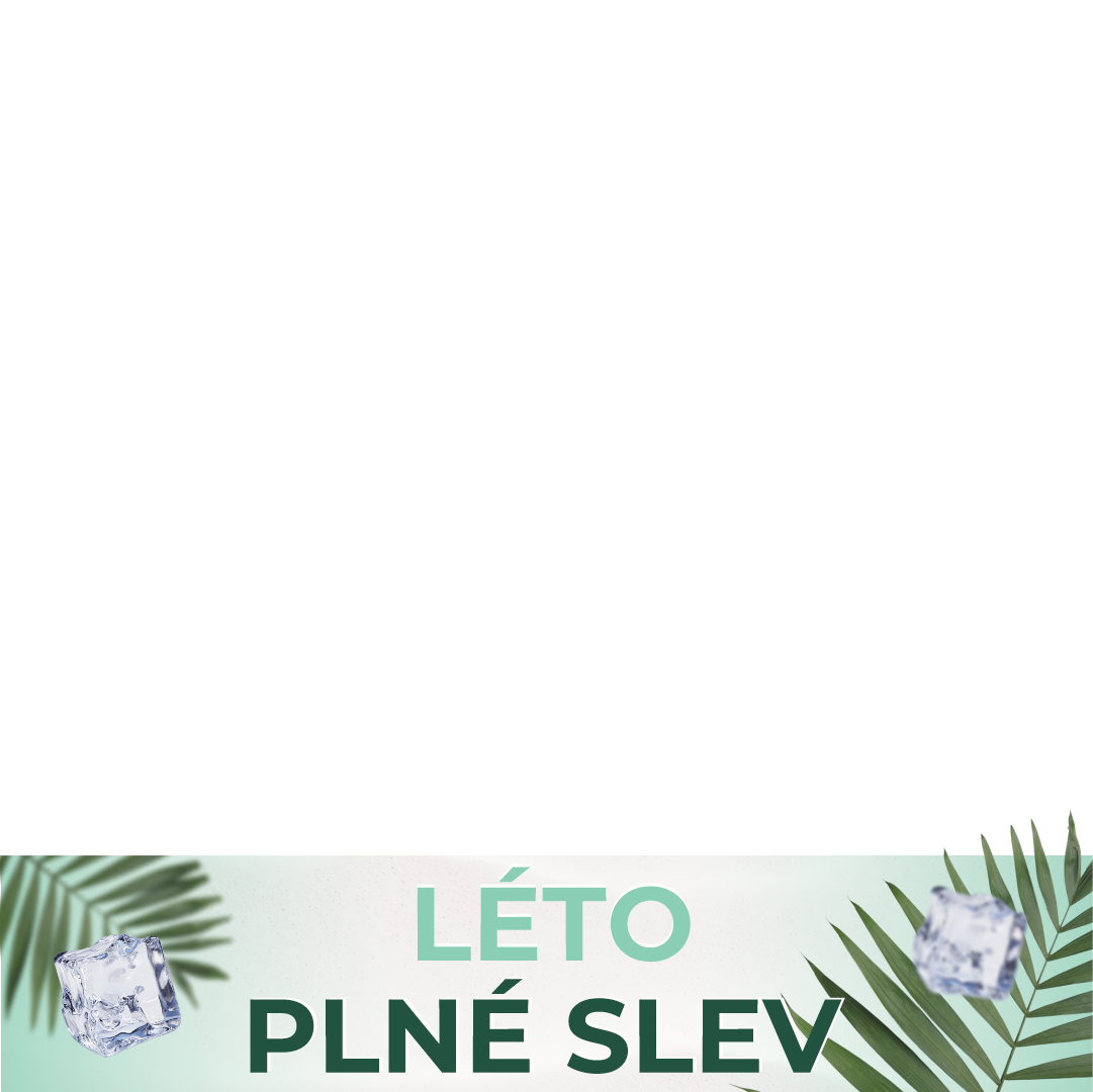 leto_cz